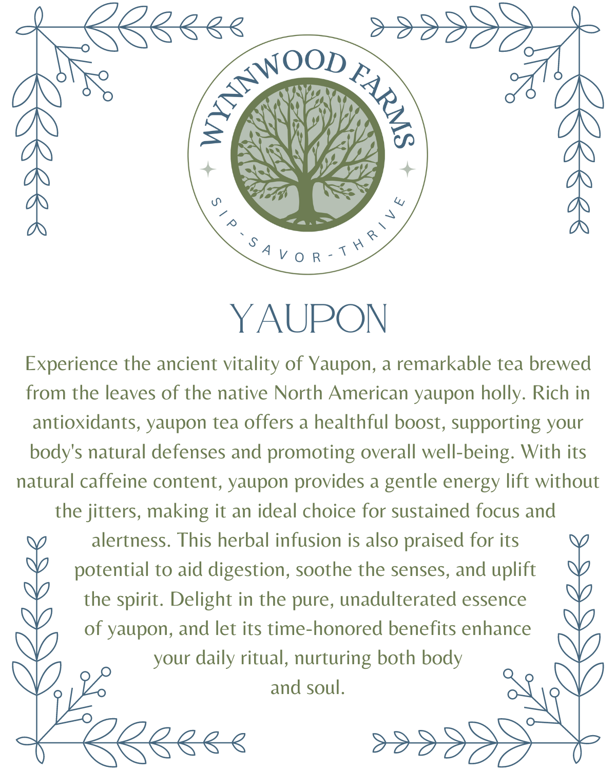 Yaupon - Caffeinated