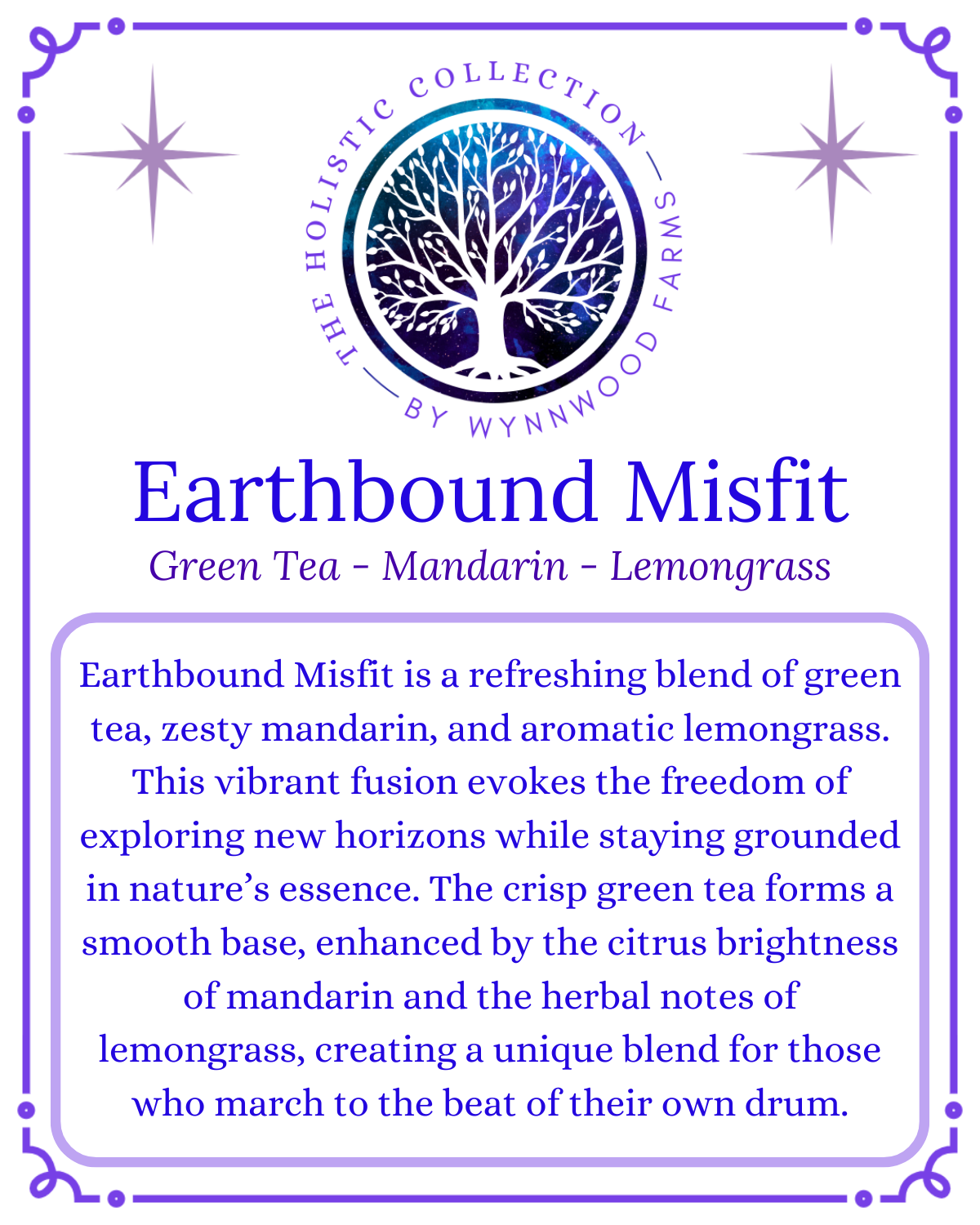 Earthbound Misfit