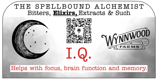 I.Q. - Brain Function