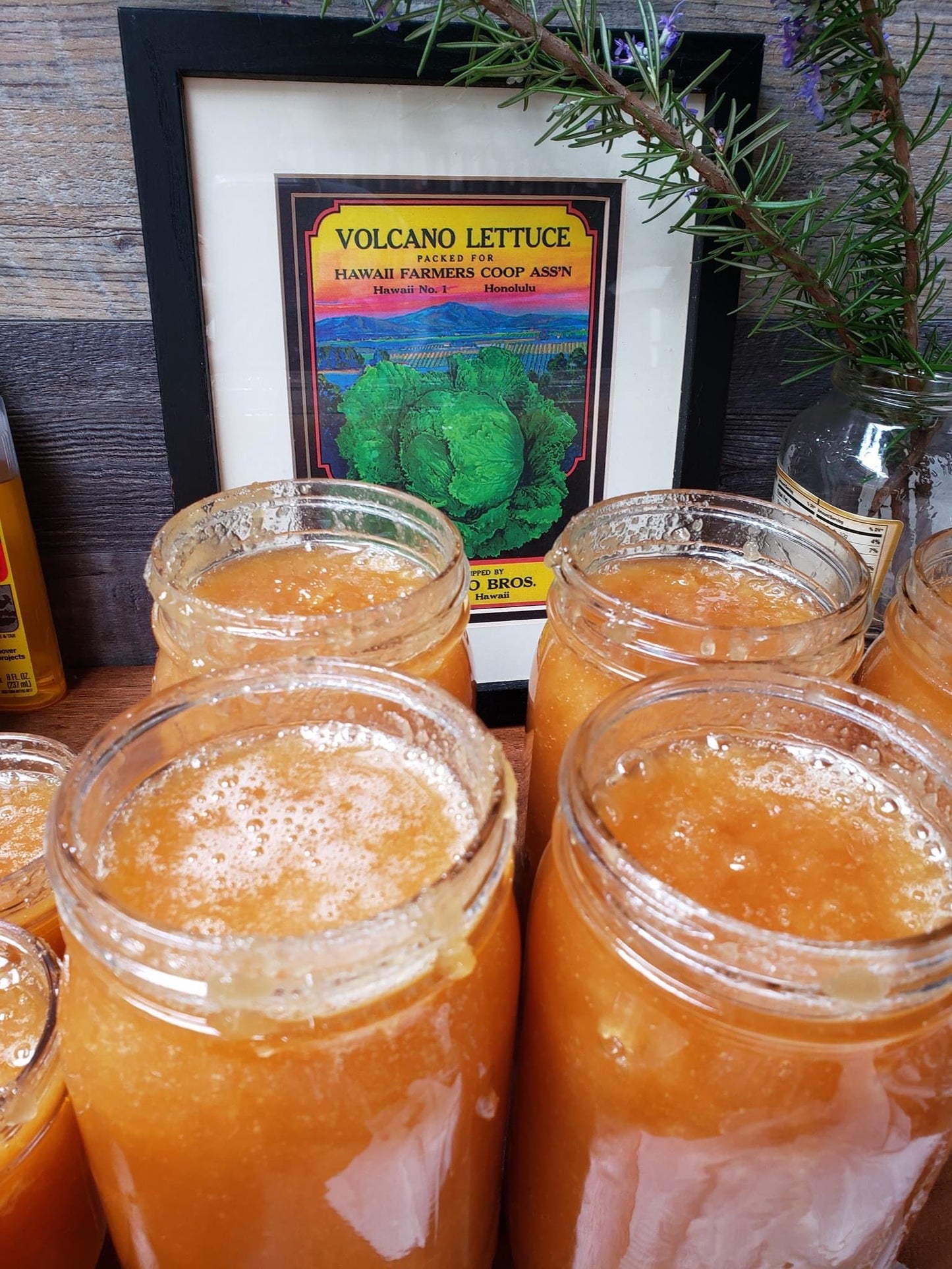 Ohia Lehua Honey - Raw and Unfiltered
